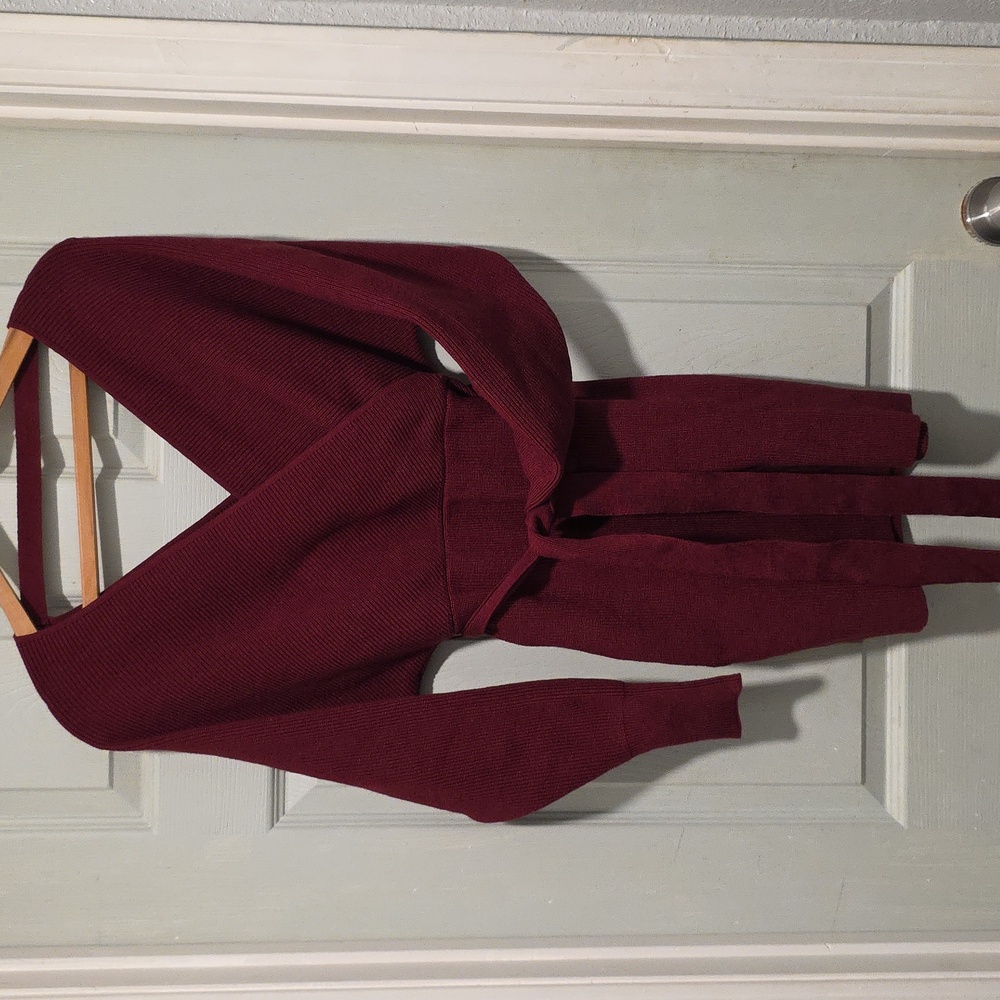 New Burgundy Rayon knit long sleeve plunge neck mini dress